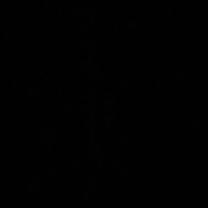 Meet your Posher, Riley